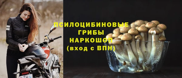 тгк Балахна