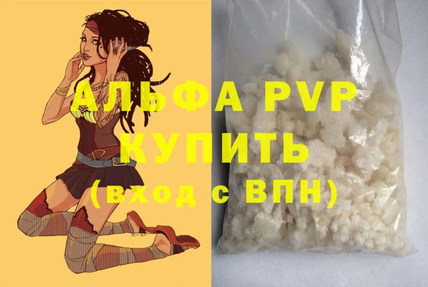 индика Белоозёрский
