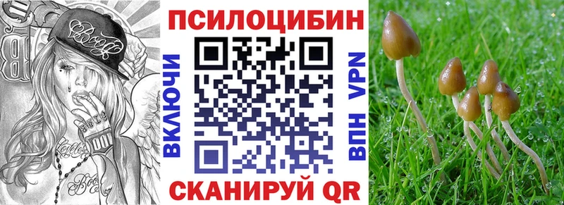 Псилоцибиновые грибы Cubensis  Луховицы 