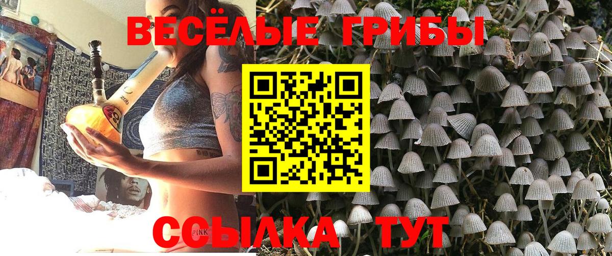 Луховицы  Псилоцибиновые грибы Psilocybe  Вход с VPN  Псилоцибиновые грибы Cubensis 
