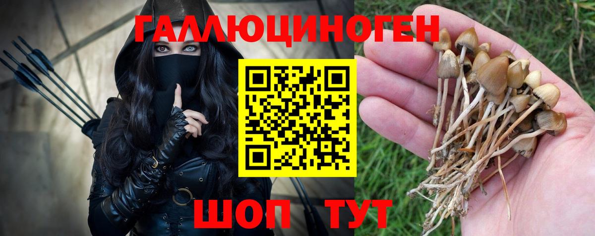 Псилоцибиновые грибы Magic Shrooms Луховицы